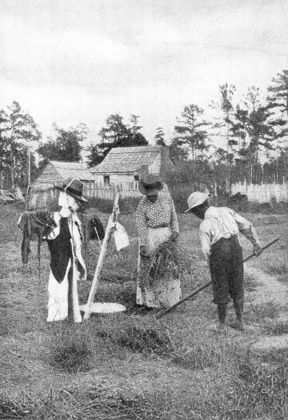 ON A PEANUT FARM. Caesar and his sister at work when Hamilton came to take the census.
