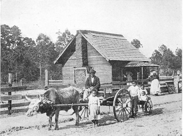 IN AN ALL-NEGRO TOWN. Residents of Bullertown on the day that the census was taken. (Brown Bros.)