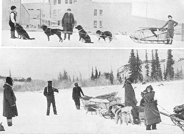 OVER THE TRACKLESS SNOW WITH DOG-TEAM. Census agents in Alaska starting on perilous journeys in the most severe winter ever known in sub-Arctic regions. (Courtesy of the Bureau of the Census.)