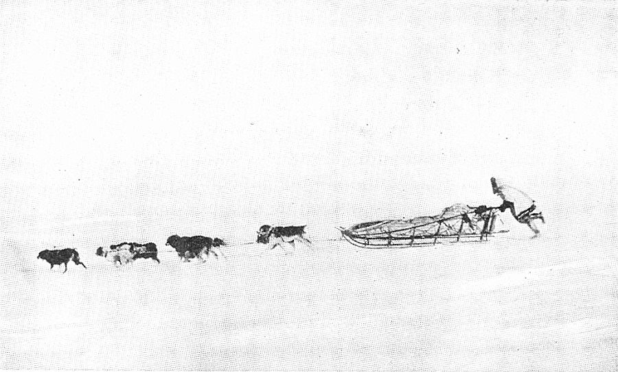 CAN WE MAKE CAMP? A last rush for shelter as the blizzard strikes, wiping out all landmarks.