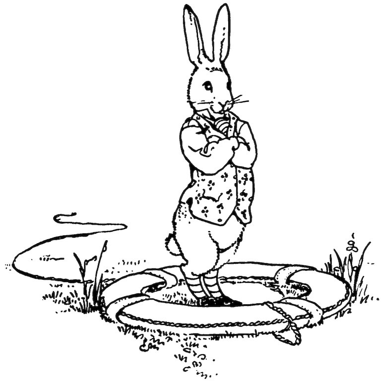 [Bunny]