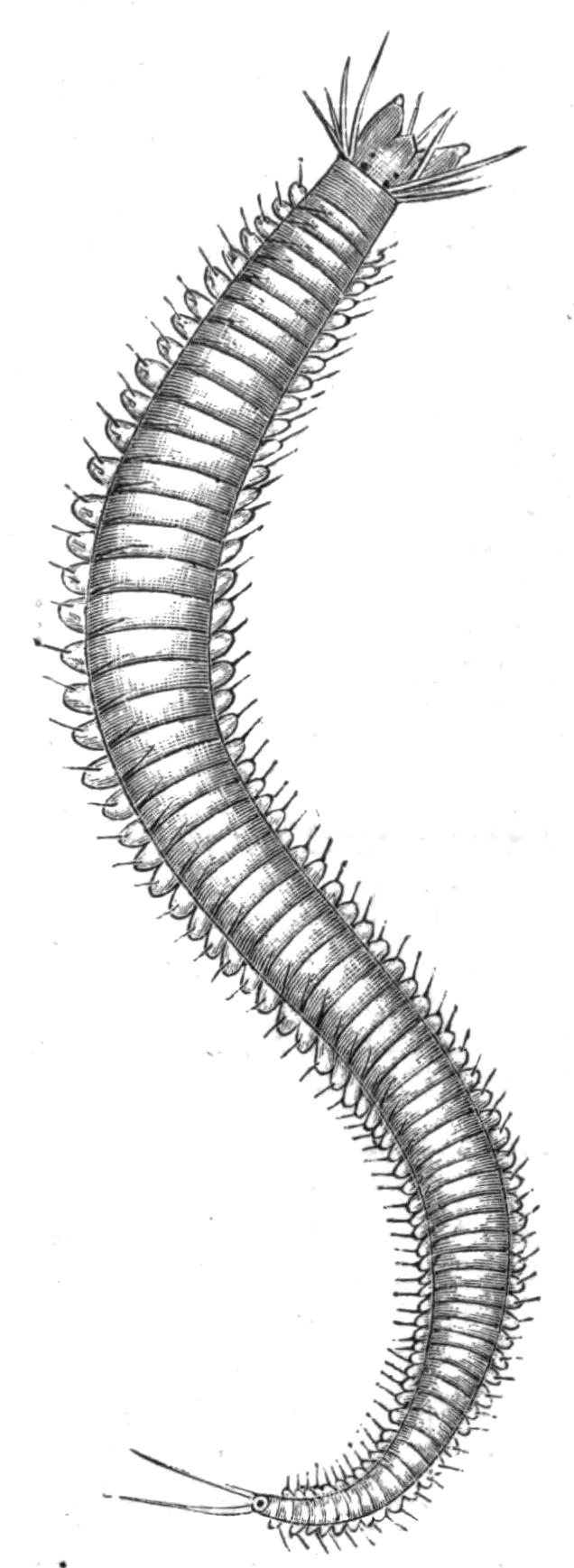 fig122 fig122