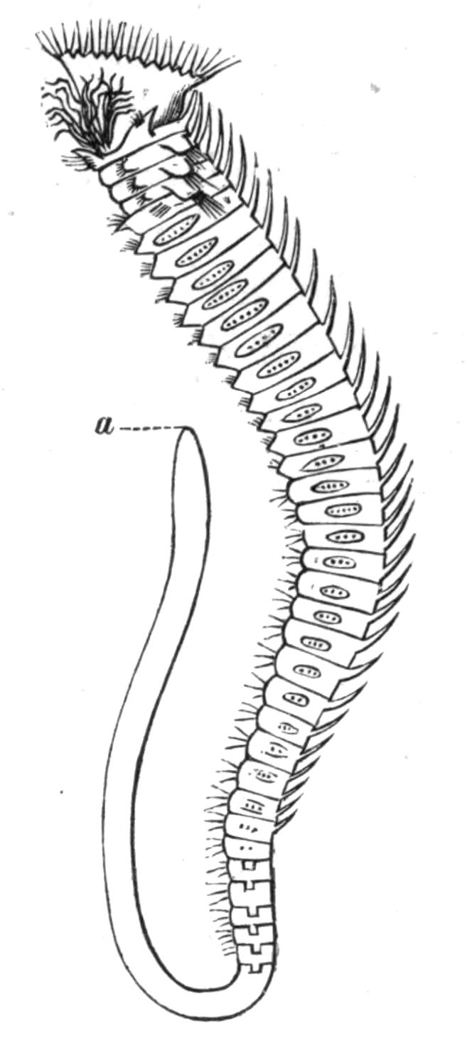 fig131 fig131