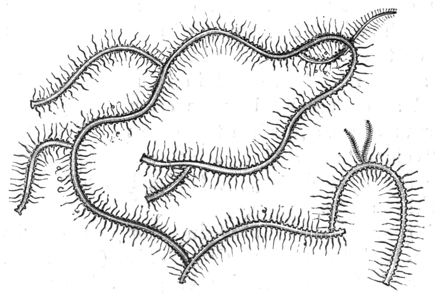 fig150 fig150