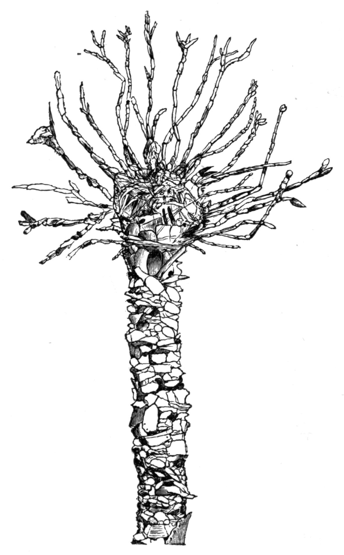 fig153 fig153