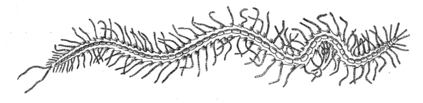 fig160 fig160