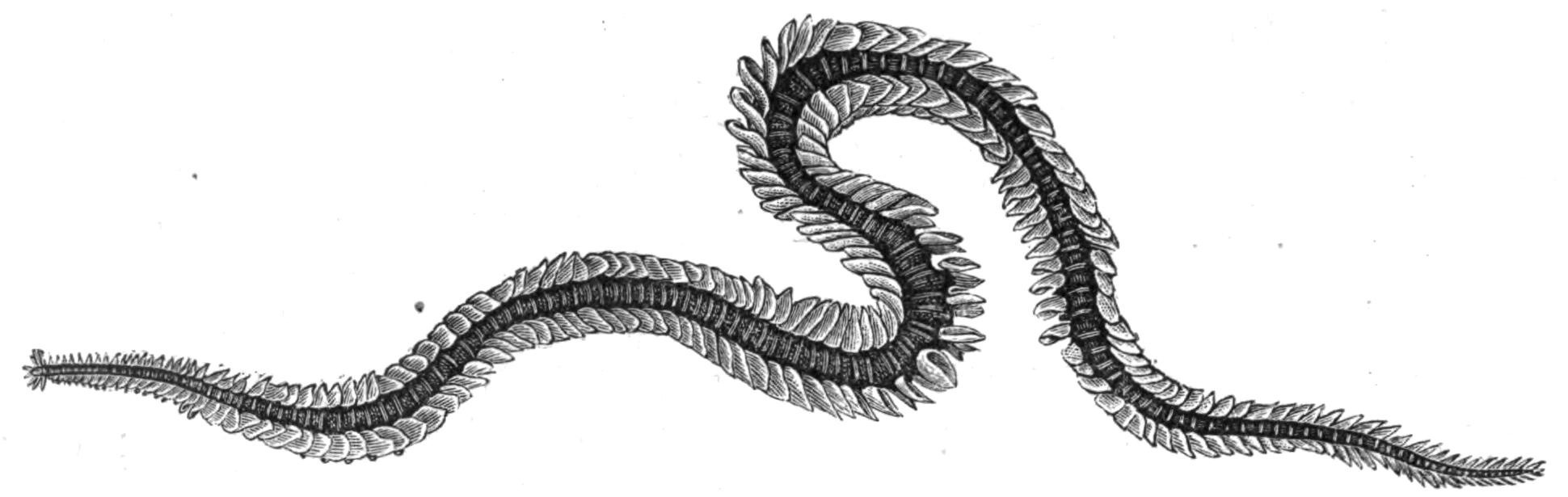 fig165 fig165