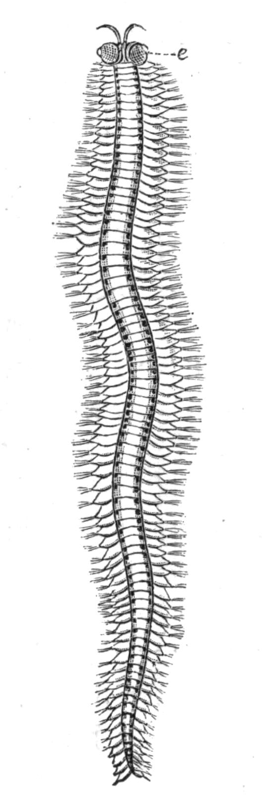 fig166 fig166