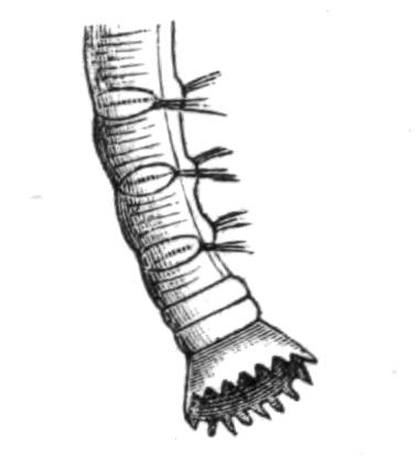 fig178 fig178