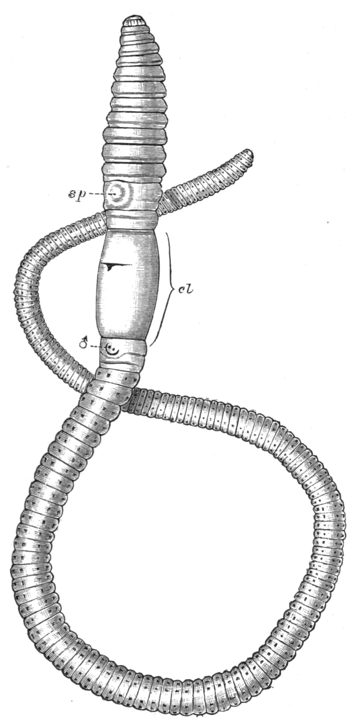fig197 fig197