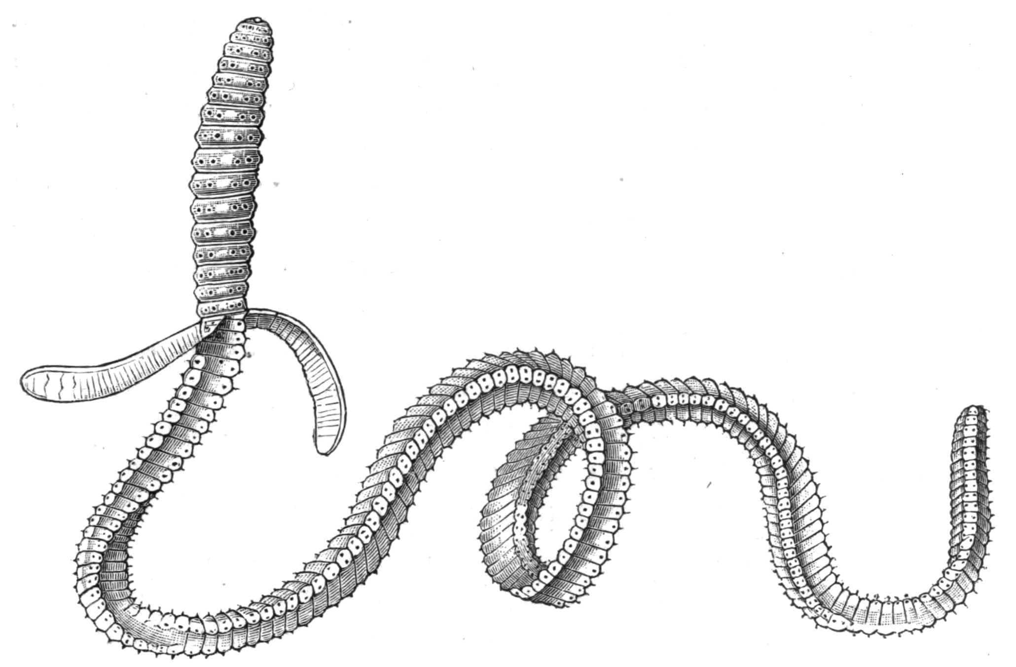 fig198 fig198