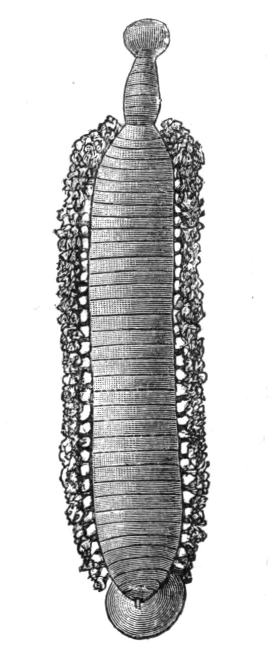 fig204 fig204
