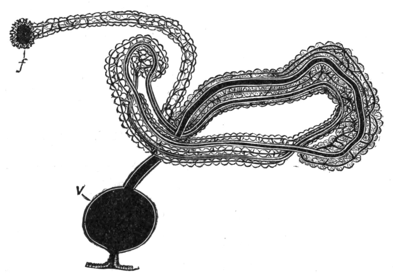 fig207 fig207