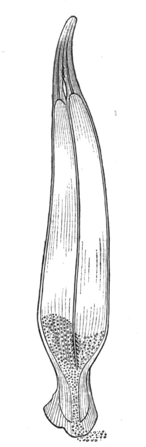 fig209 fig209