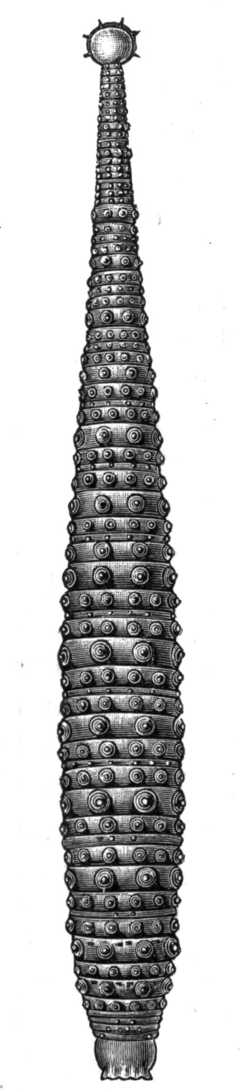 fig210 fig210