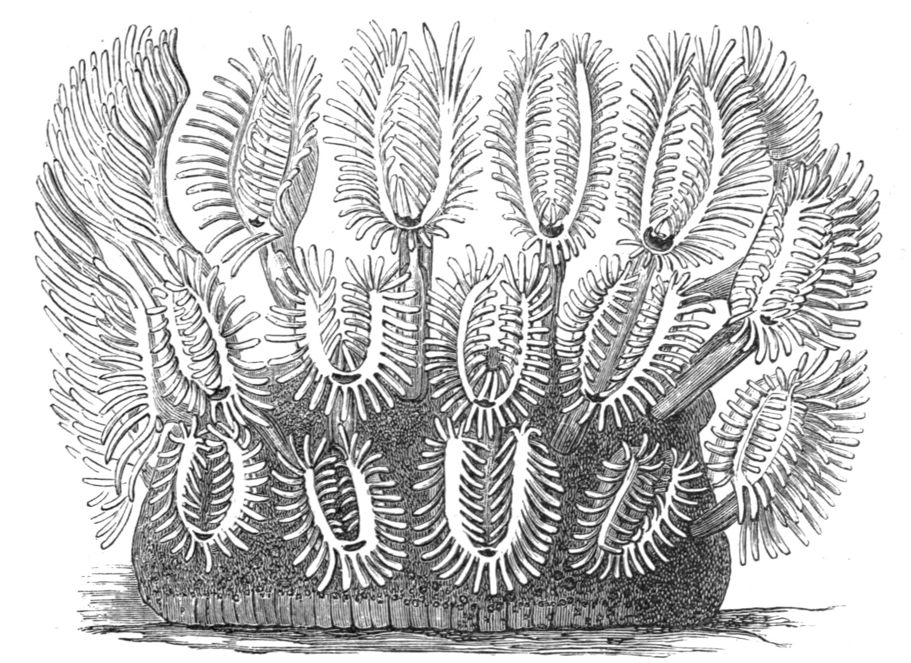 fig247 fig247
