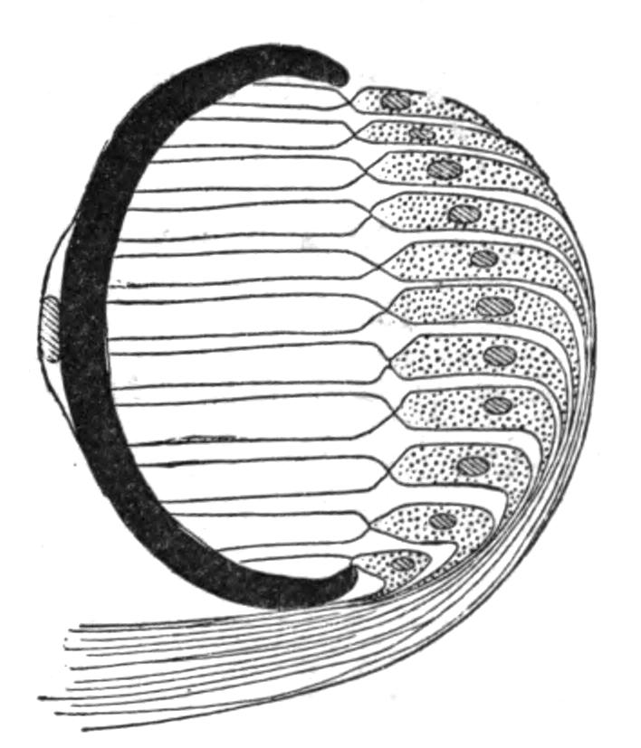 fig6 fig6