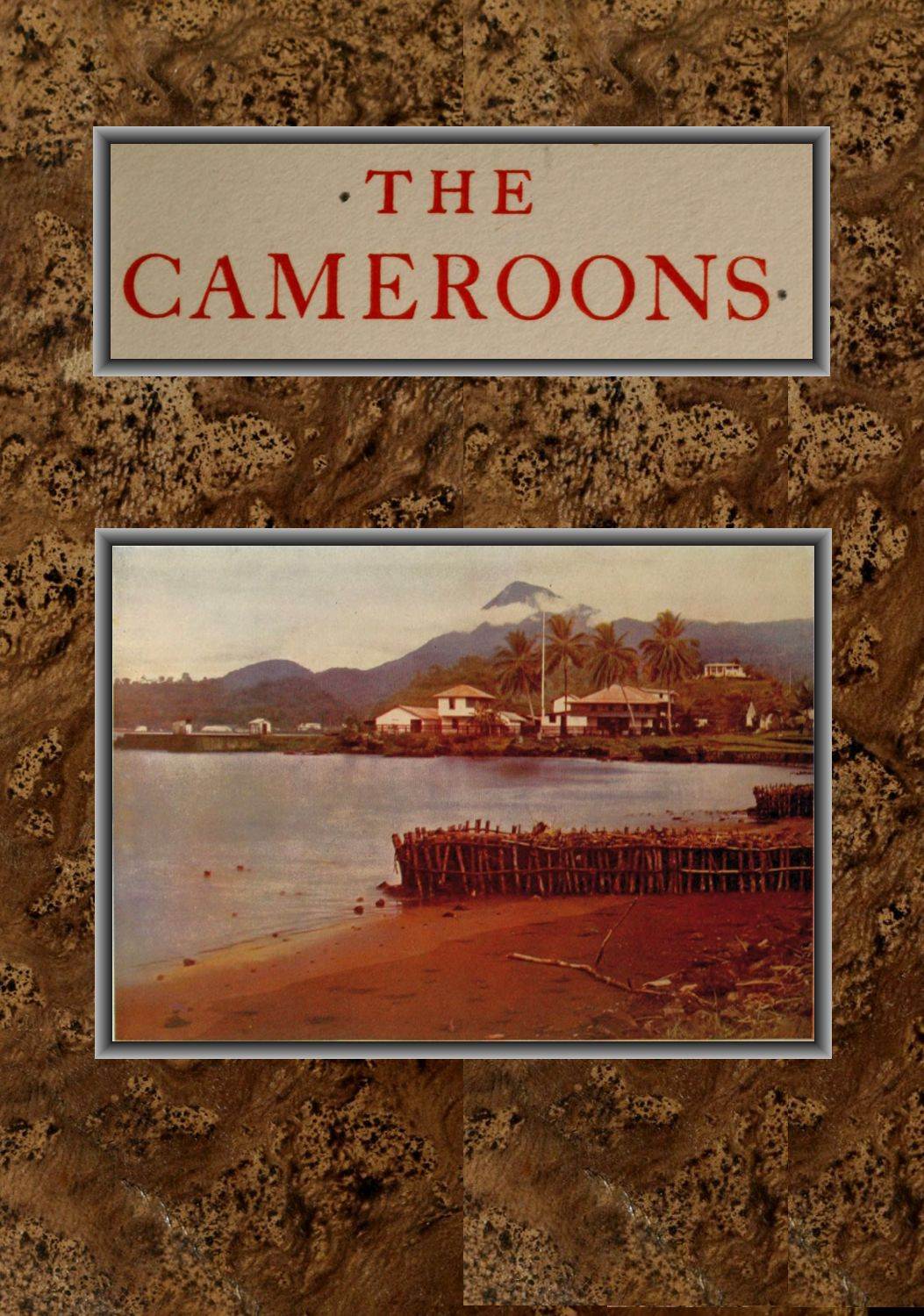 [Image of the book's cover unavailable.]