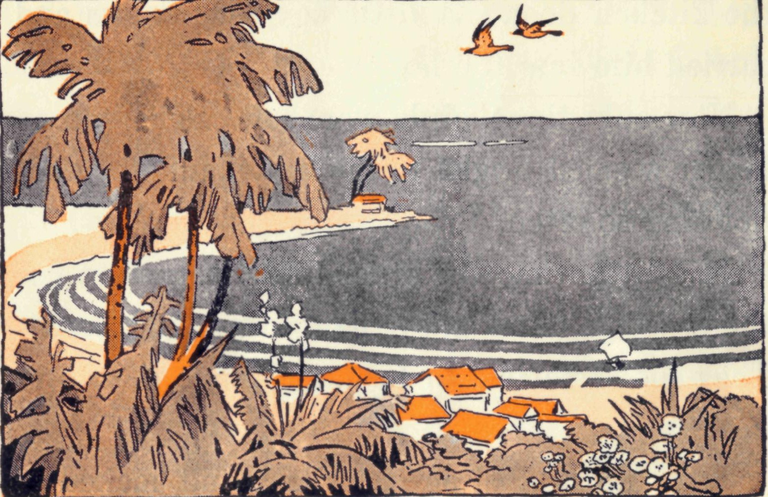 Two birds flying over a field