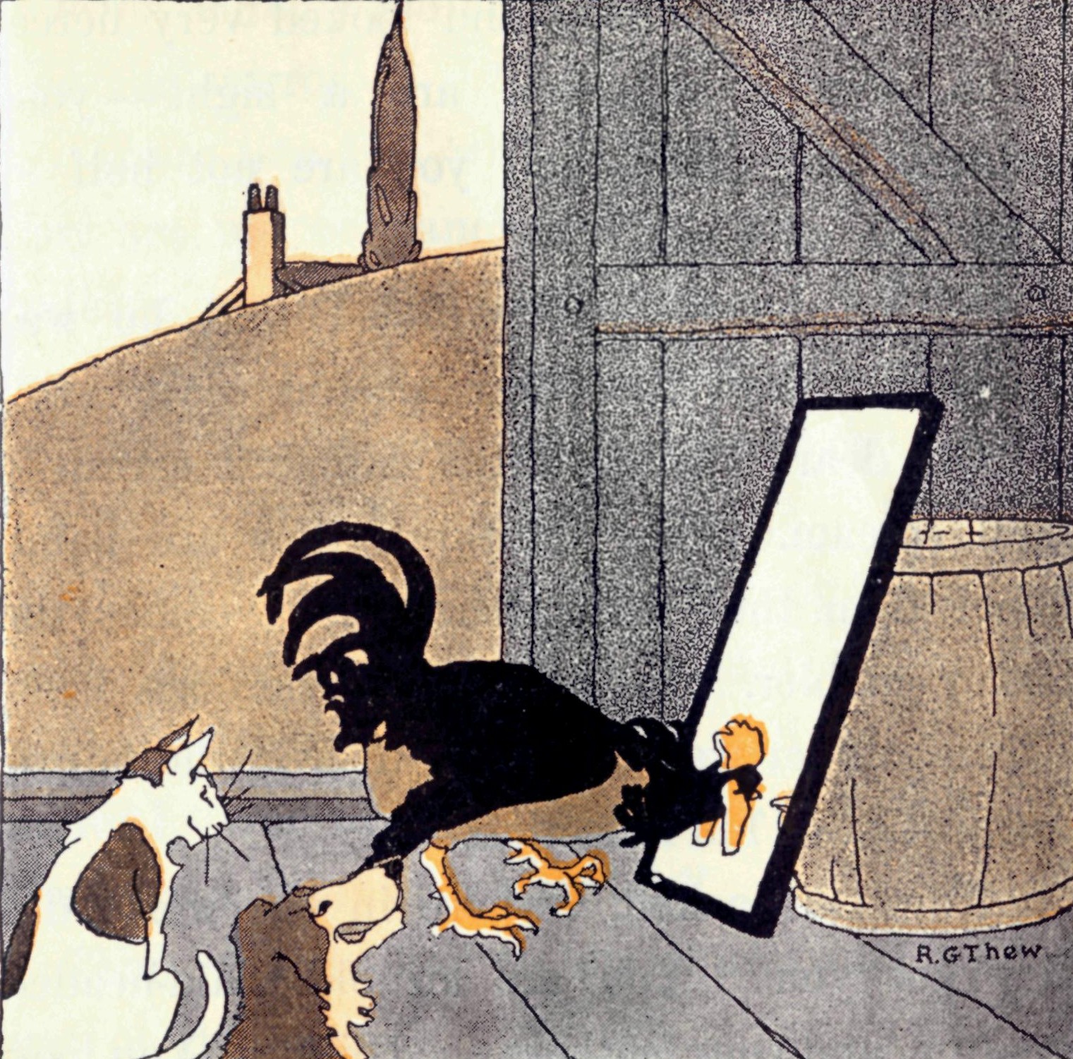 The rooster and the mirror