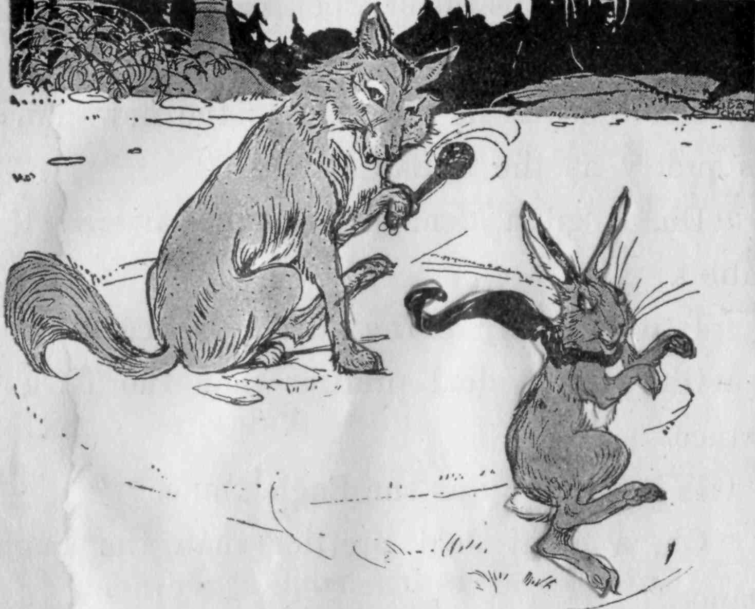 The rabbit danced as the wolf shook the rattle