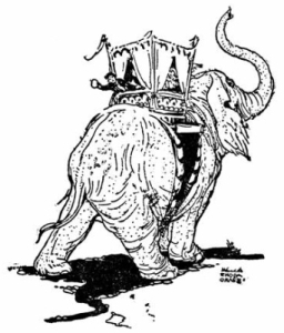Elephants to ride upon Elephants to ride upon