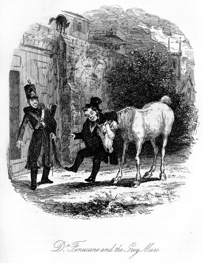 Illustration: Dr. Finucane and the Grey Mare