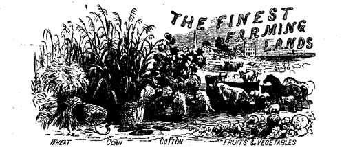 Finest Farming Lands Finest Farming Lands
