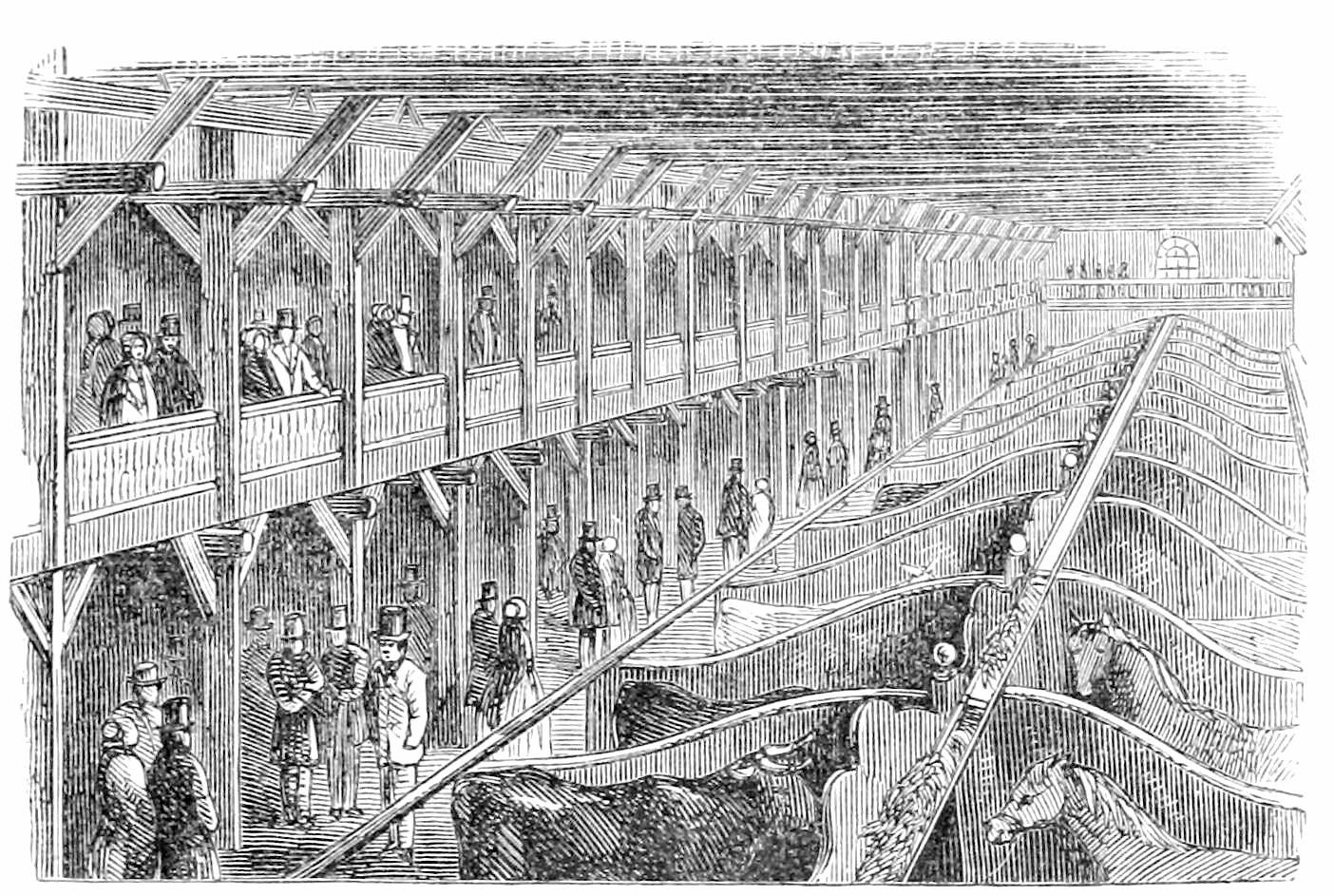 INTERIOR OF THE CATTLE-SHED.