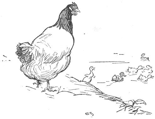 Cornelia and the web-footed Gracchi