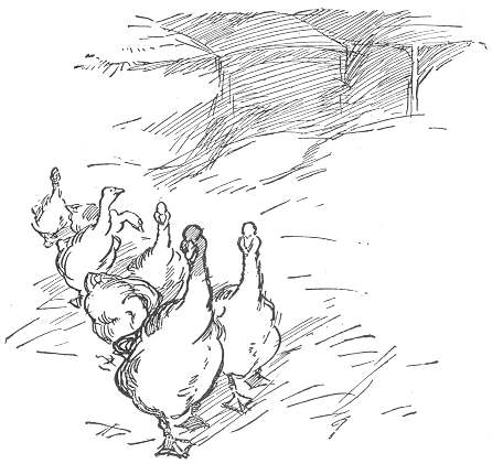 The geese . . . cross the rickyard