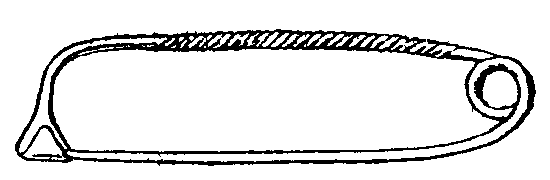Fig. 1.--Early type from Peschiera. Fig. 1.--Early type from Peschiera.