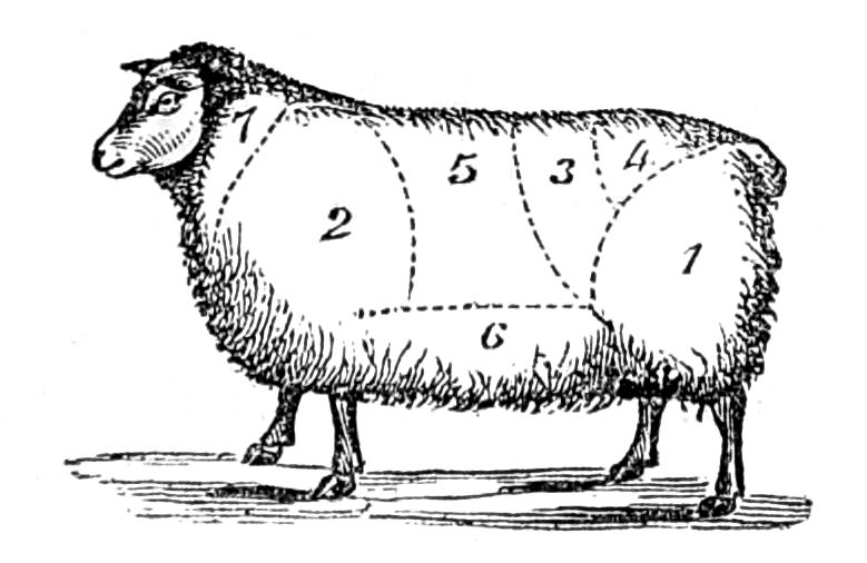 Joints of Mutton Joints of Mutton