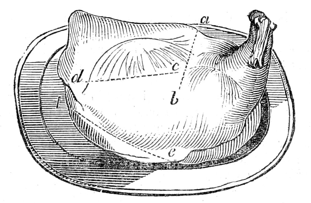 Shoulder of Mutton Shoulder of Mutton