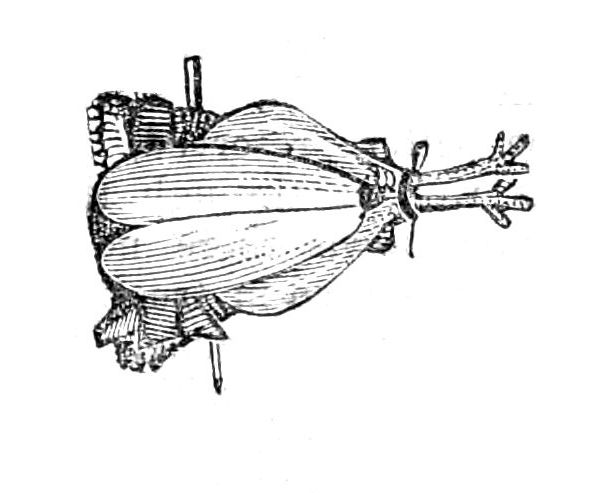 Fowl for Roasting Fowl for Roasting