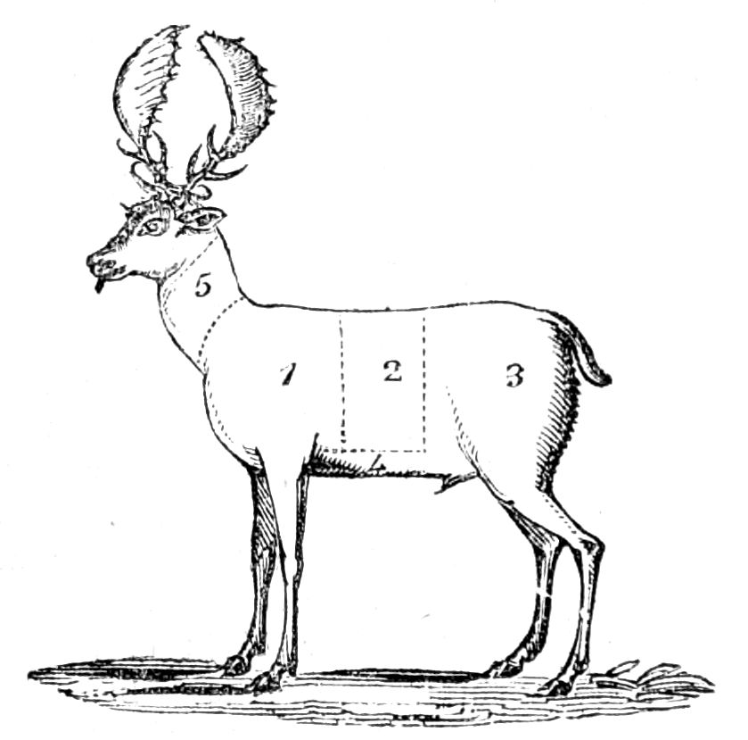 Joints of Venison Joints of Venison