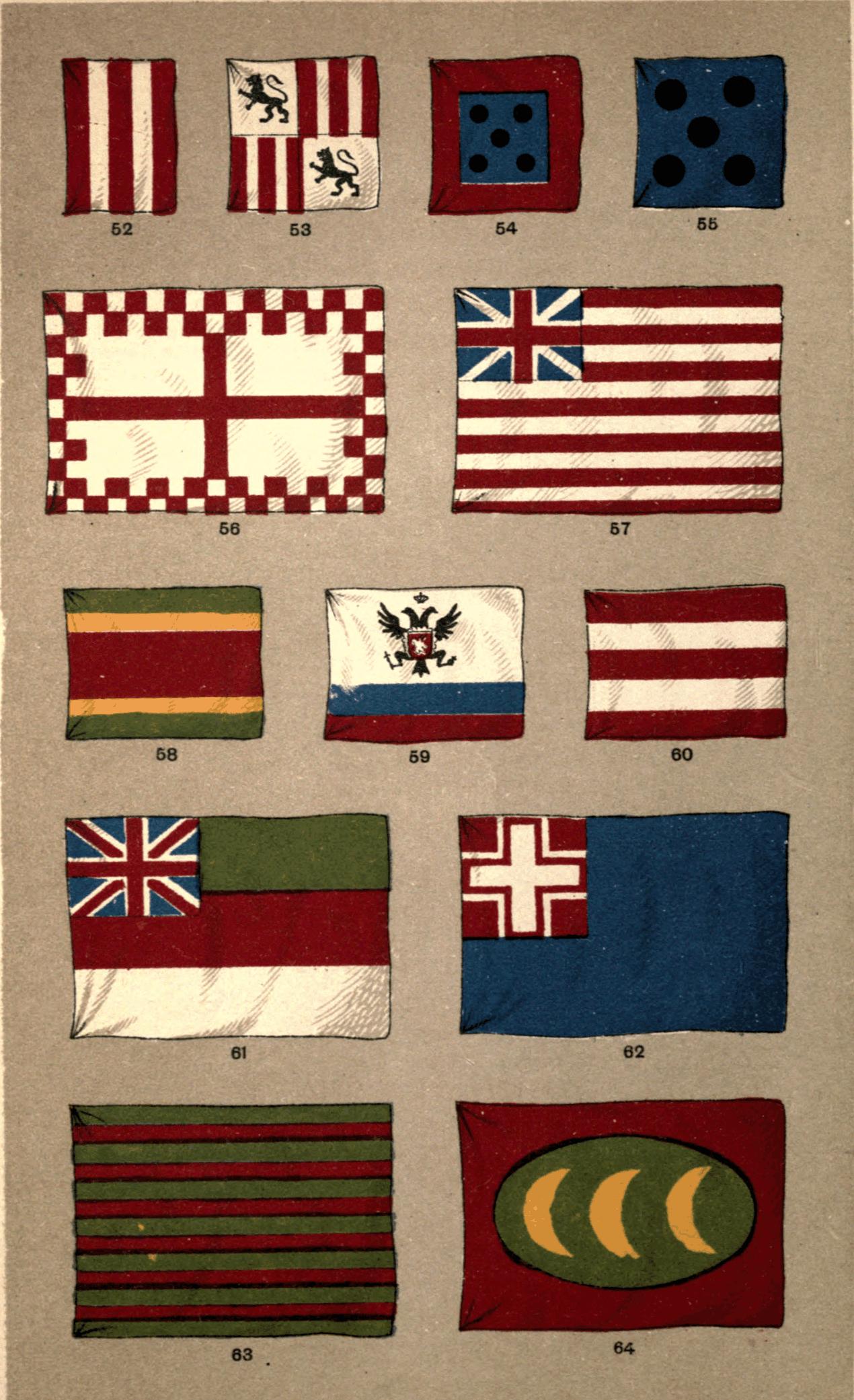 Plate 7 Plate 7