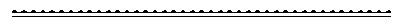 Decorated Horizontal Line.