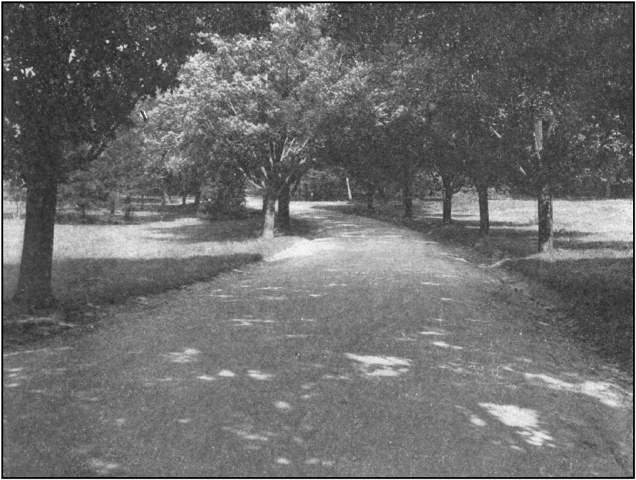 Gravel Road near Soldiers' Home, D.C.