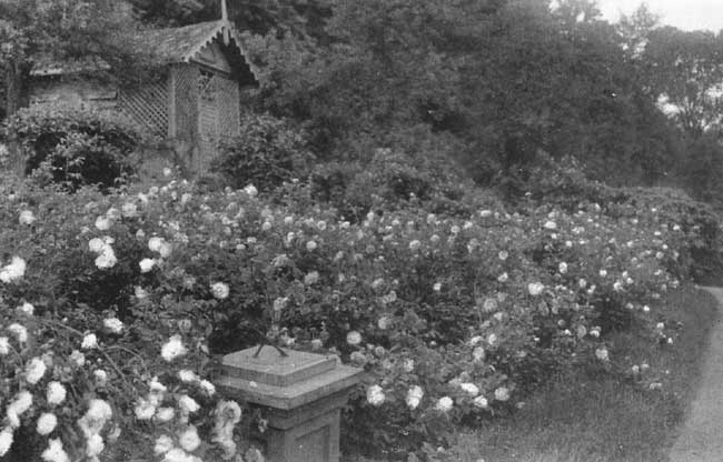 Madame Plantier at Van Cortland Manor Madame Plantier at Van Cortland Manor