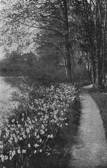 The Poet's Narcissus. The Poet's Narcissus.