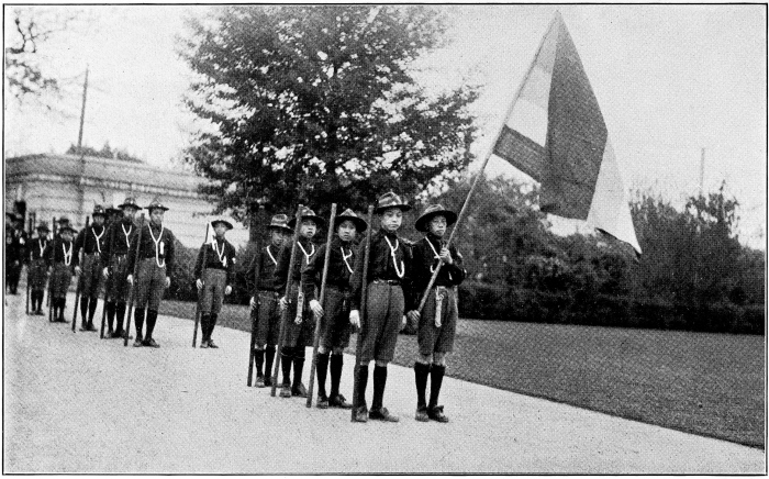 scouts