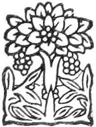 Colophon