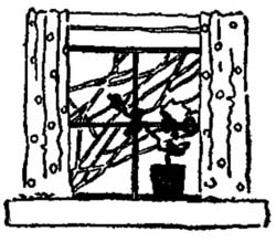 window window