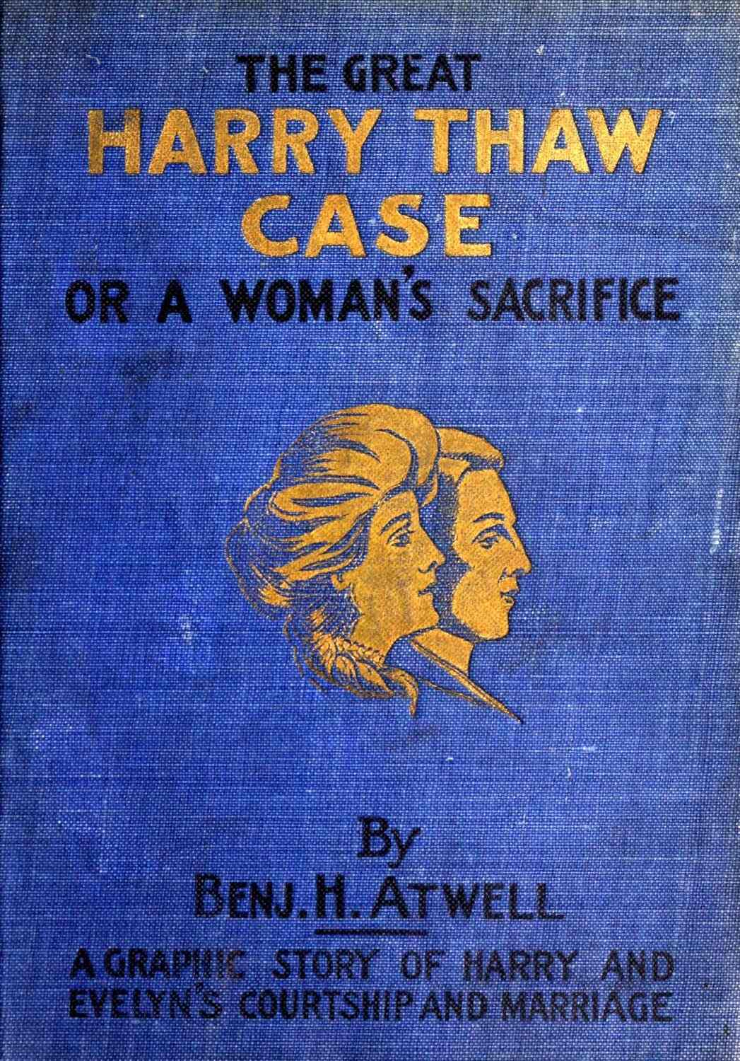 [Image of the book's cover unavailable.]