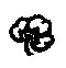 decorative icon