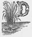 Decorative drop capital