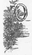 Decorative drop capital