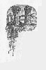 Decorative drop capital