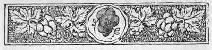 Decorative chapter header